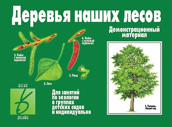 Настольно-печатная дид.игра в папке "Деревья наших лесов"