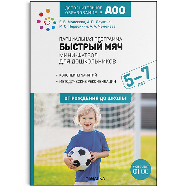 Парциальная программа «Быстрый мяч». Мини-футбол для дошкольников 5-7 лет. ФГОС. Дополнительное обра